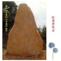 探寻大型黄蜡石原石市场 广东园林景观石图鉴
