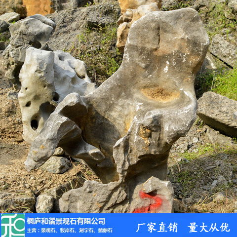 正宗太湖石价格 太湖石 和谐景观石 查看